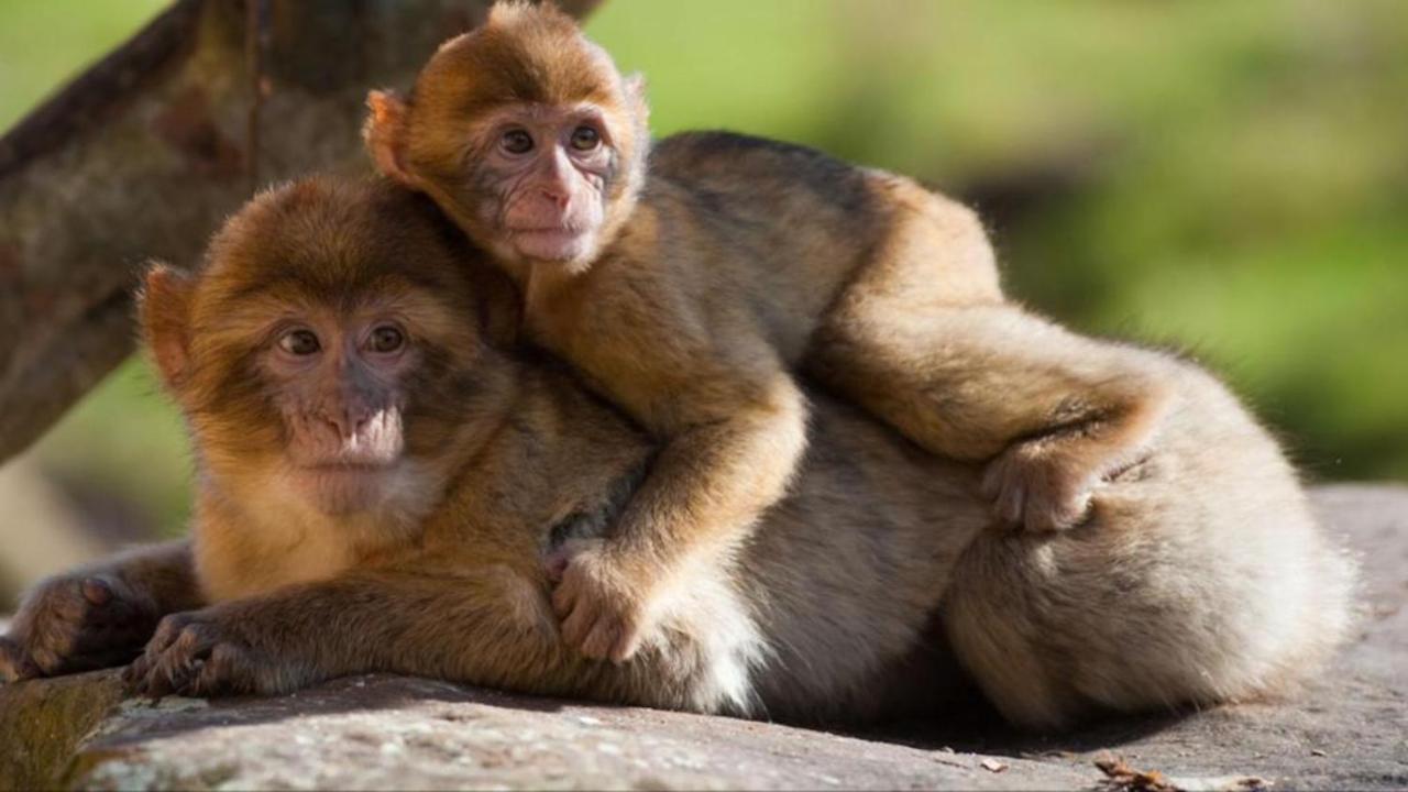 La Brie A 15Mn De Disneyland Et Village Nature Neufmoutiers-en-Brie ภายนอก รูปภาพ